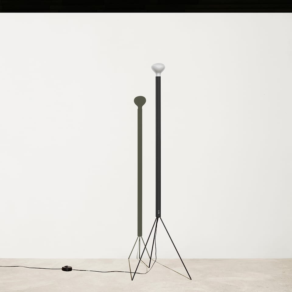 Flos Luminator