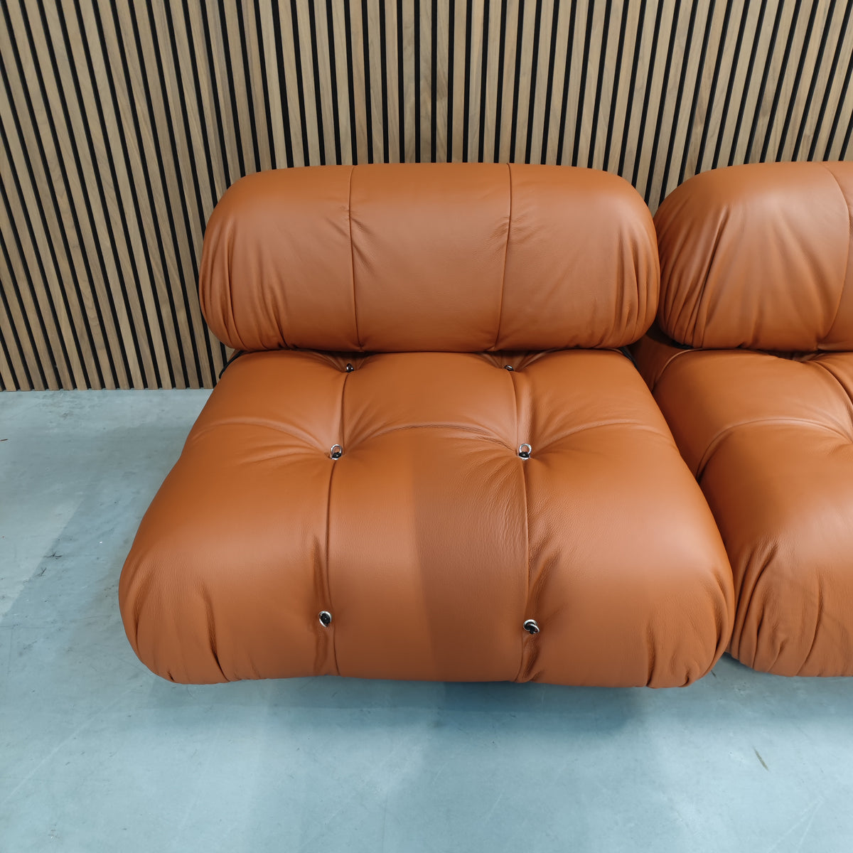 B&B Italia Camaleonda Elements – Brown leather