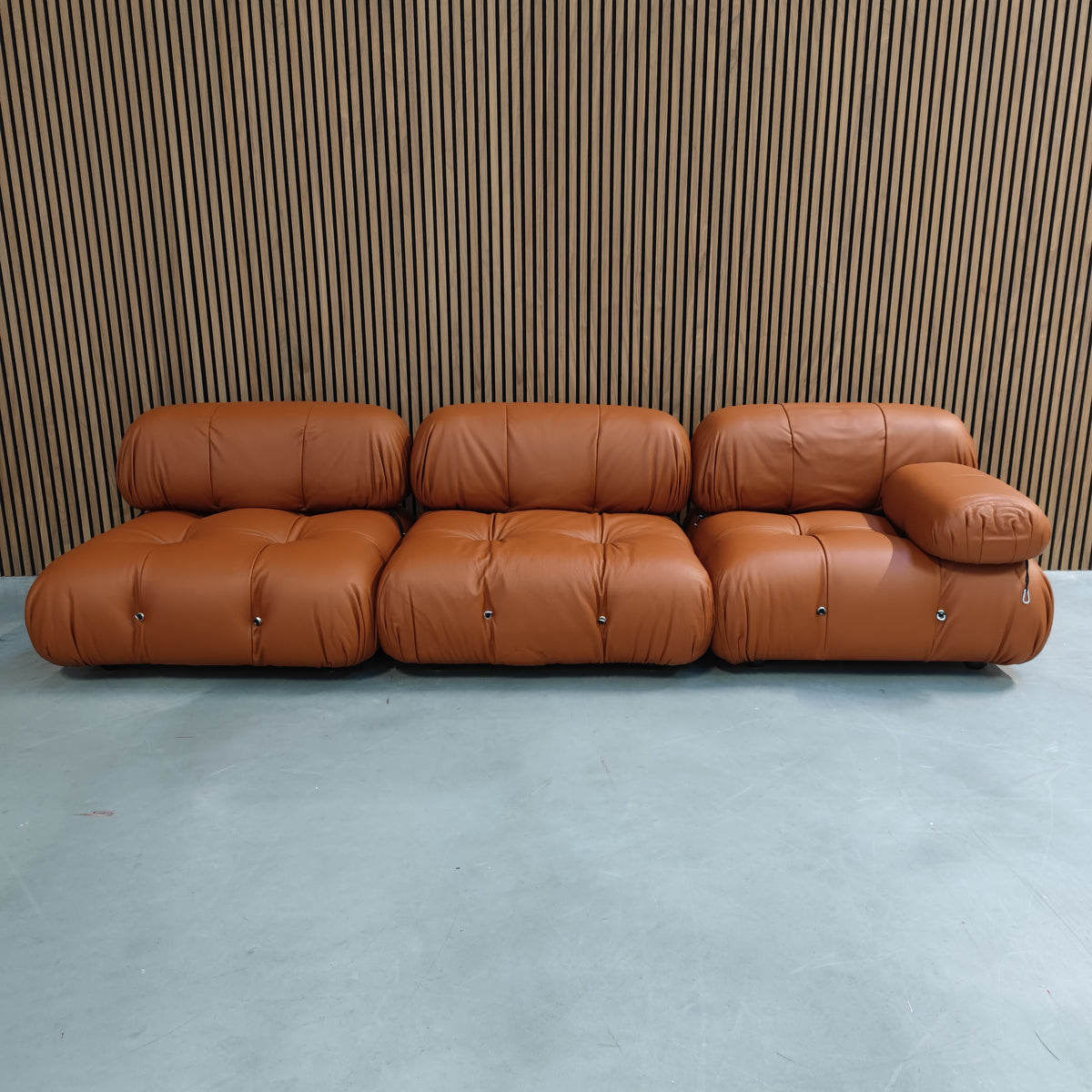 B&B Italia Camaleonda Elements – Brown leather