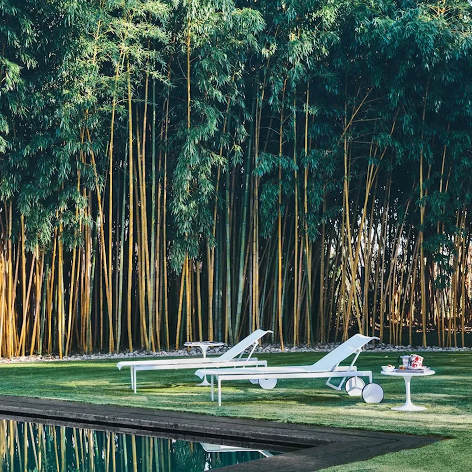 Knoll 1966 verstelbare ligstoel