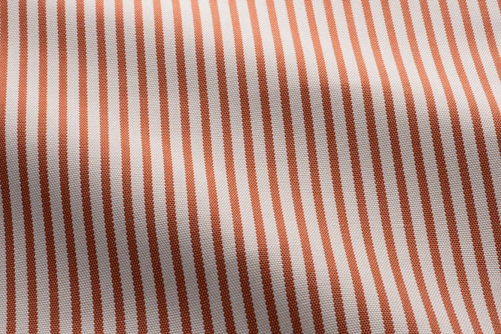 Perennials Jake stripe
