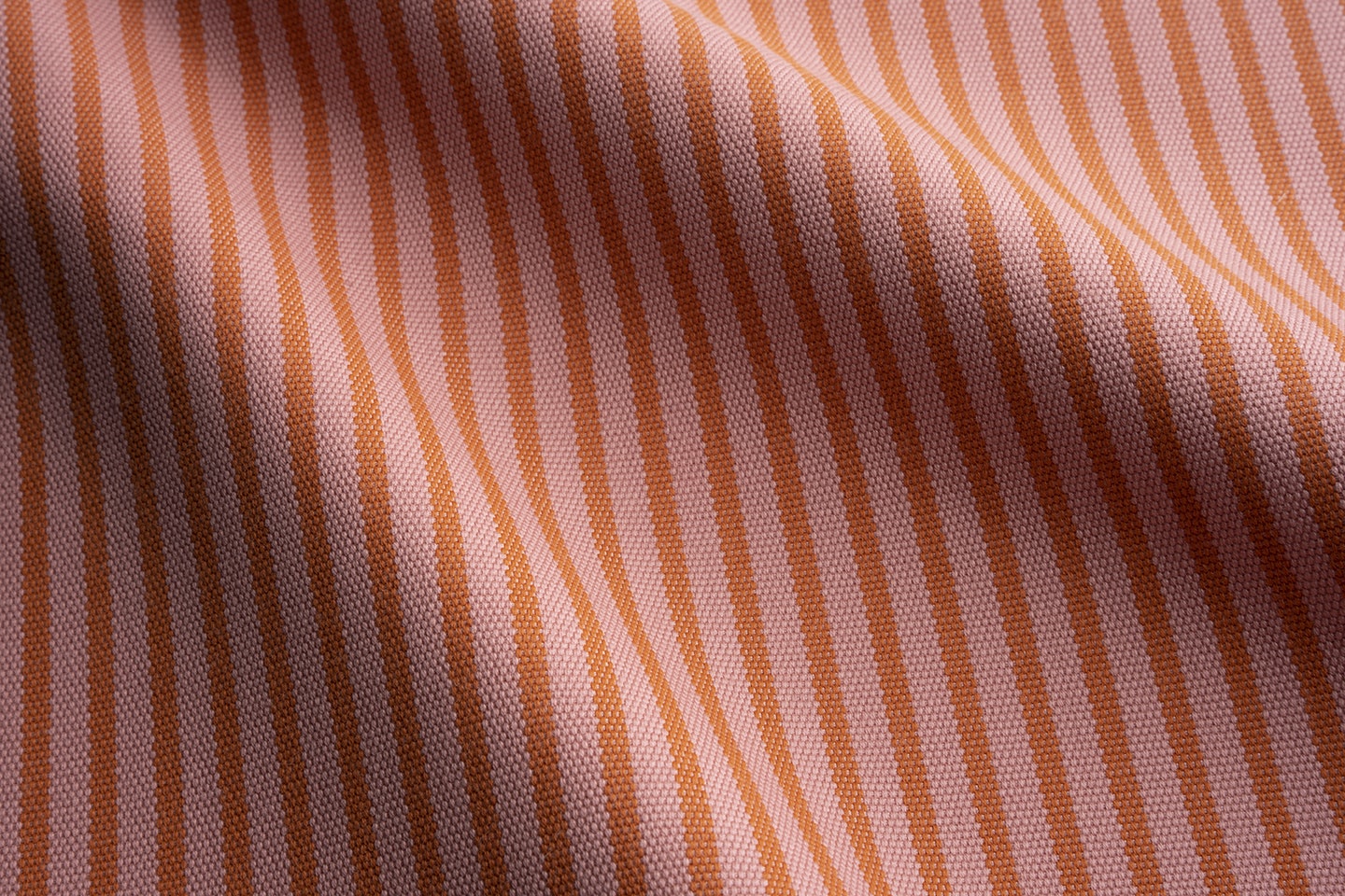 Perennials Jake stripe