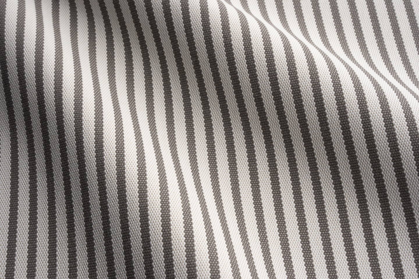 Perennials Jake stripe