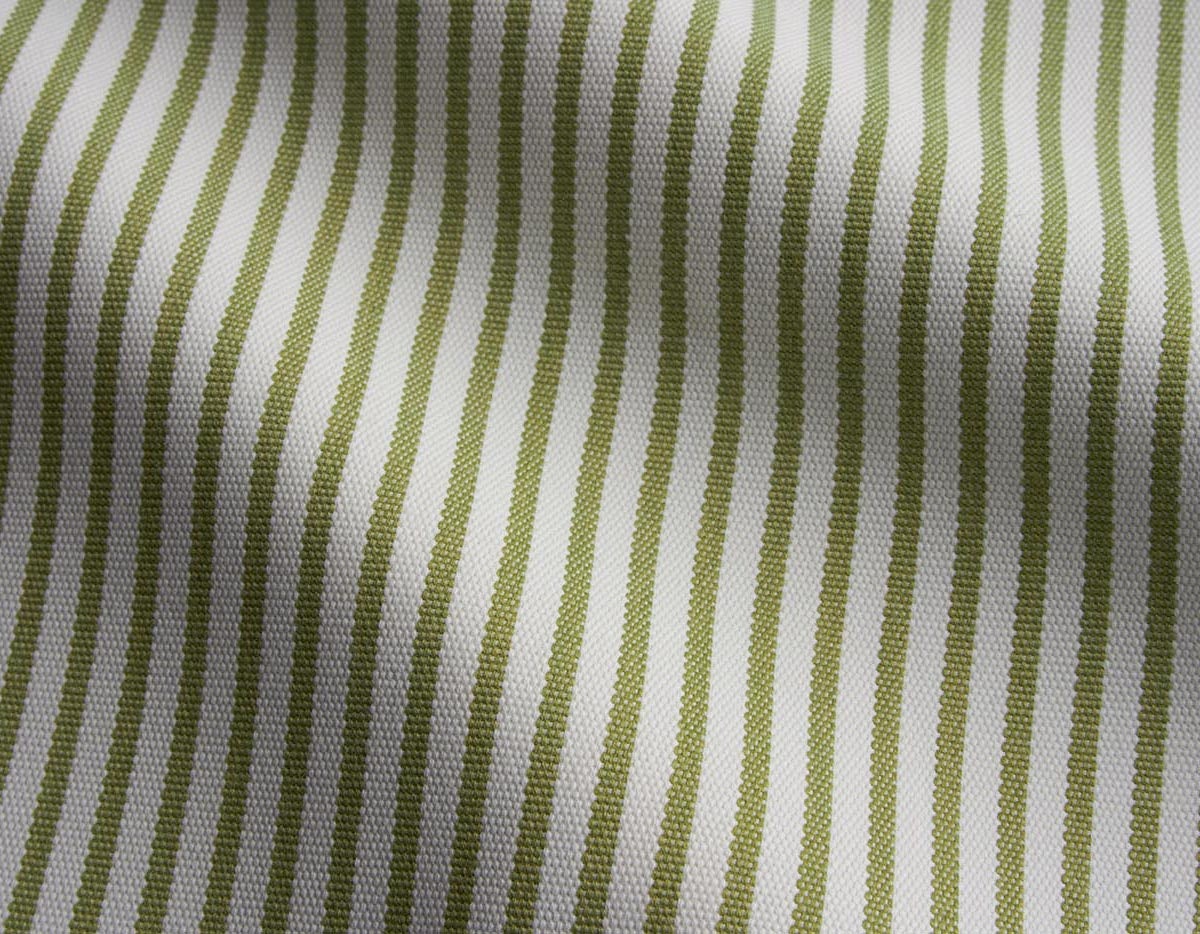 Perennials Jake stripe