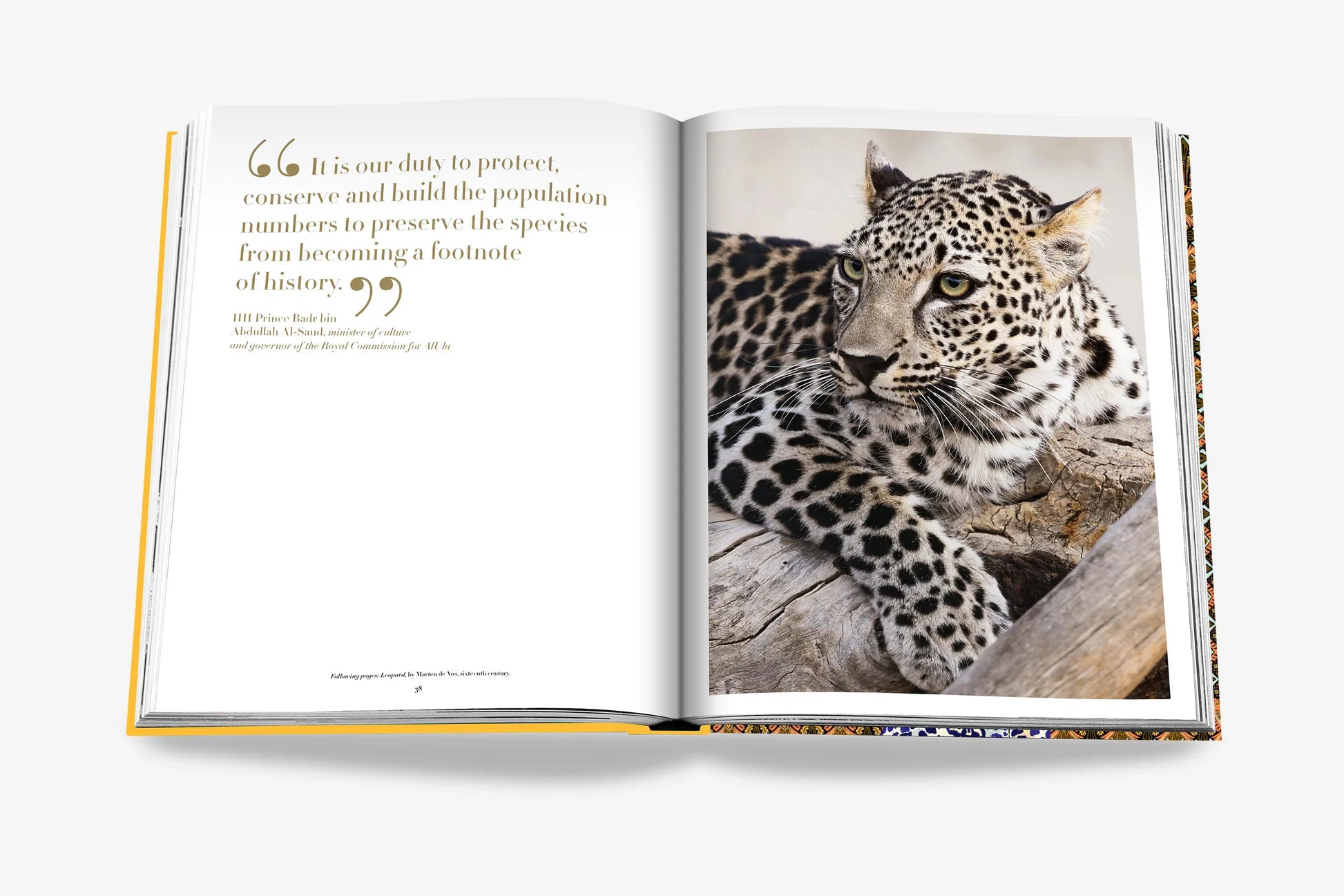 ASSOULINE Arabian Leopard