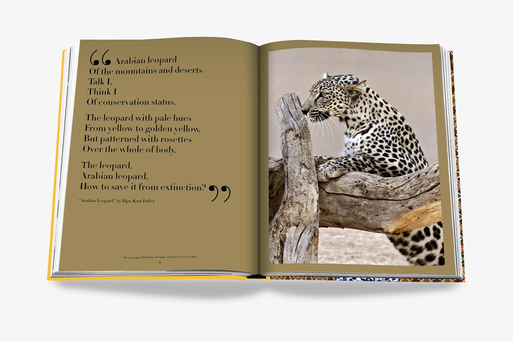 ASSOULINE Arabian Leopard