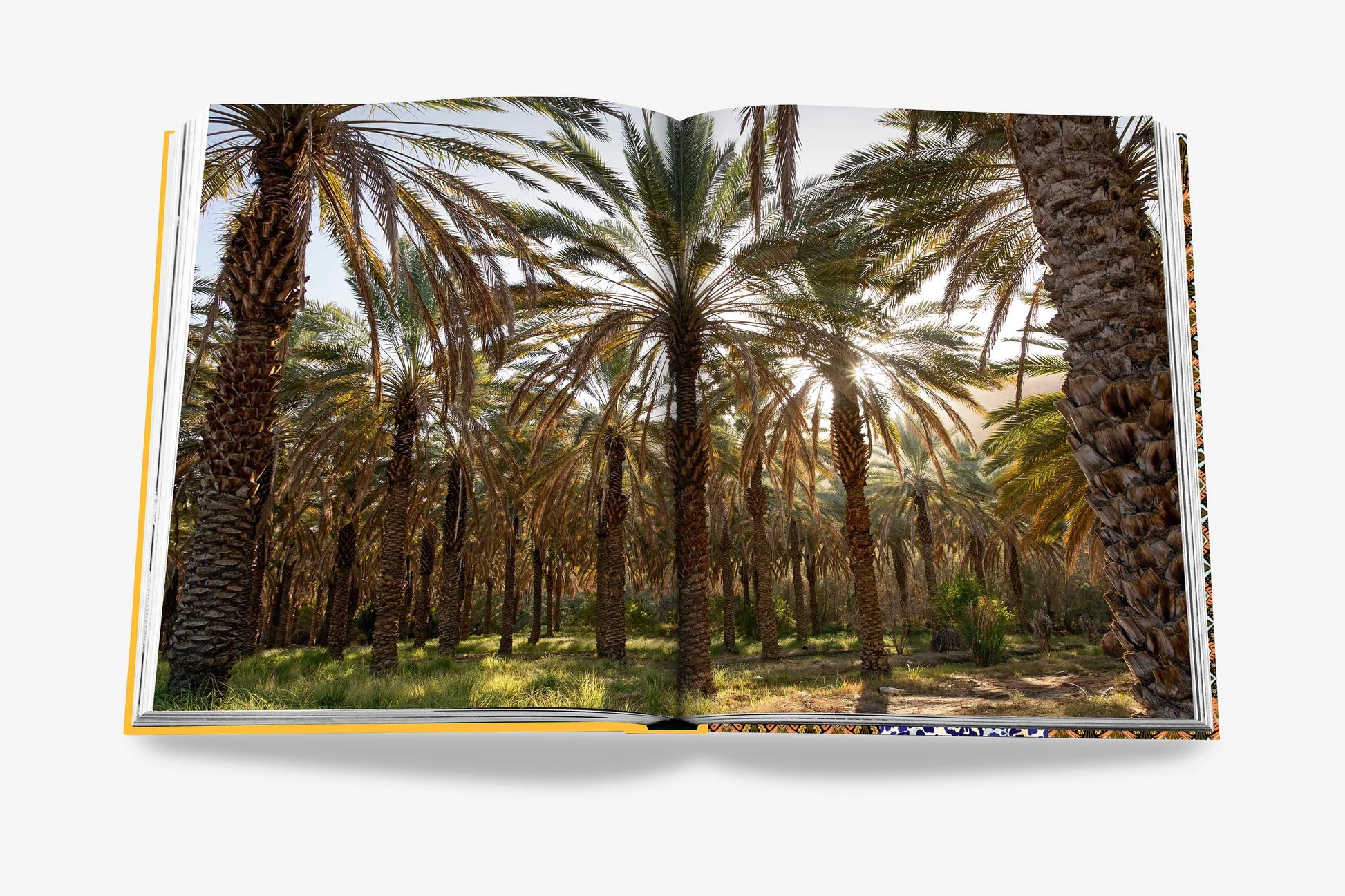 ASSOULINE Arabian Leopard