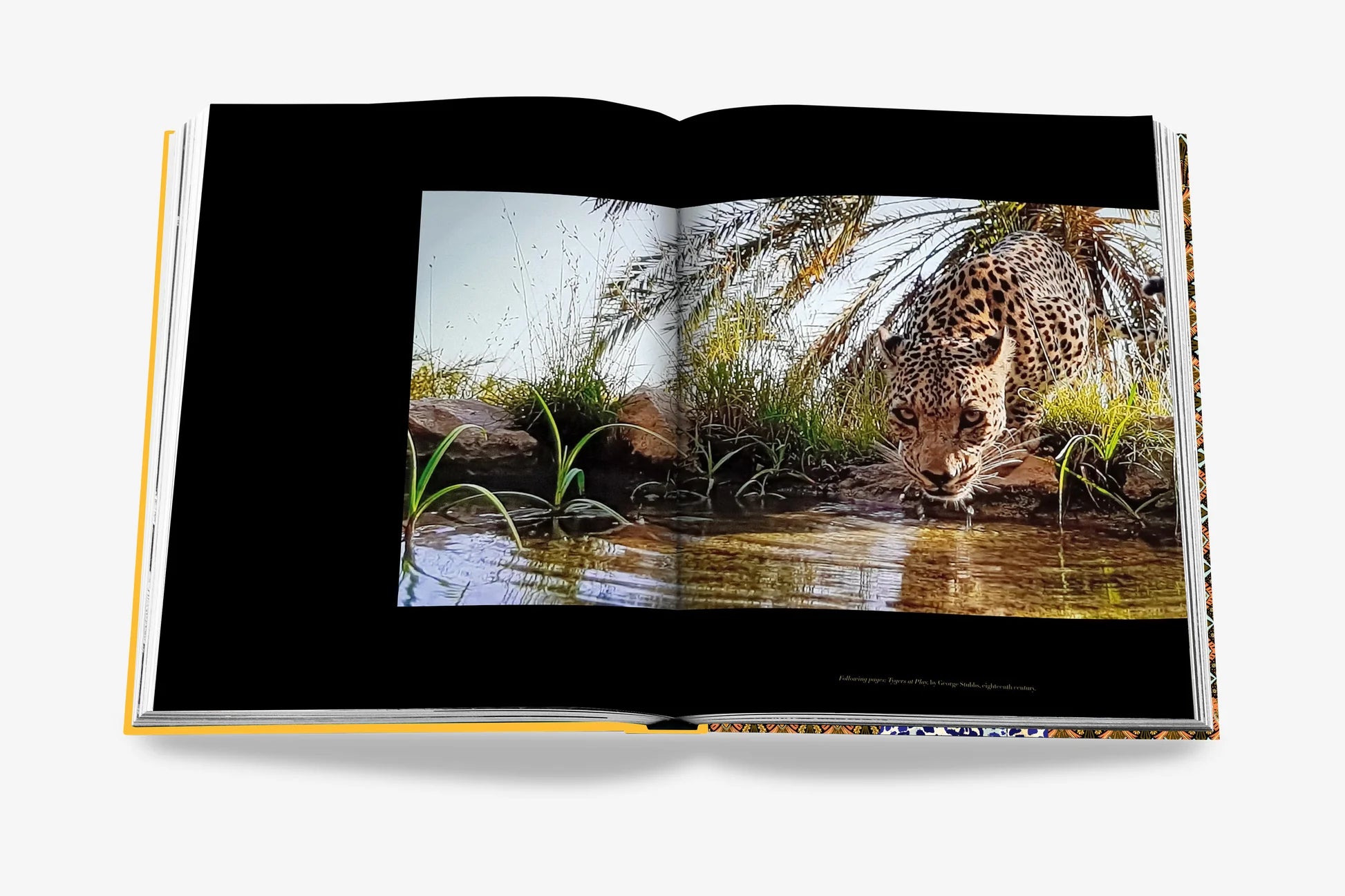 ASSOULINE Arabian Leopard