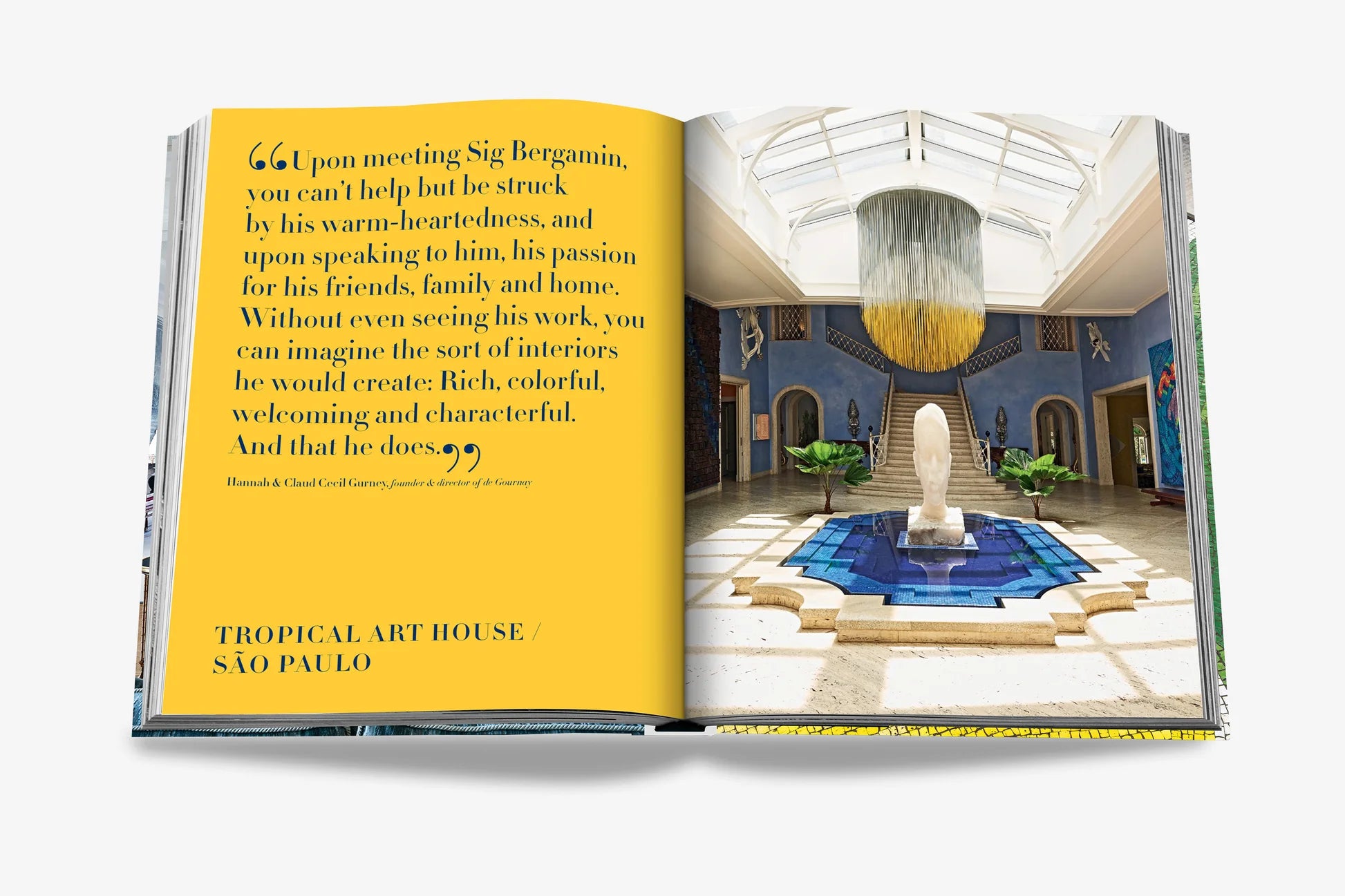 ASSOULINE Art Life by Sig Bergamin