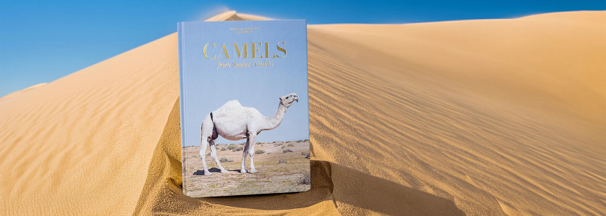 ASSOULINE Camels from Saudi Arabia (Classic)