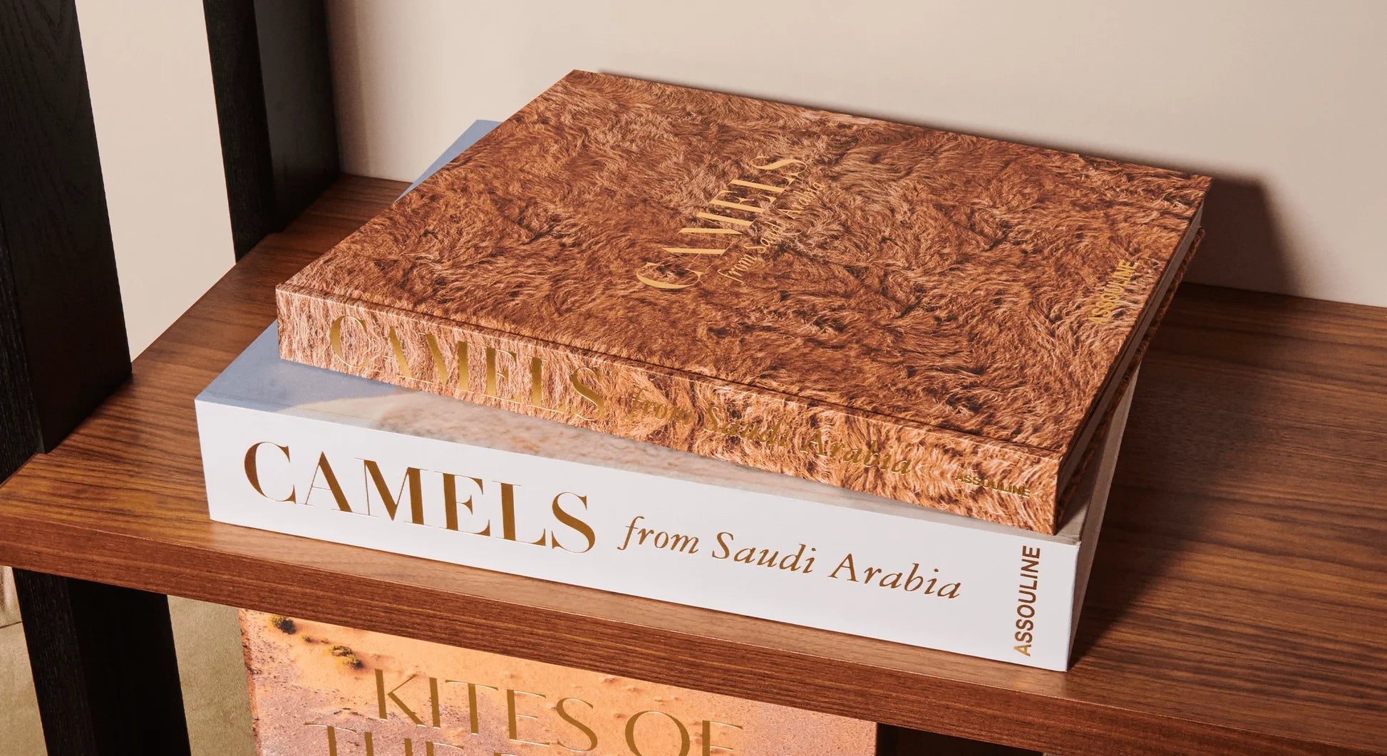 ASSOULINE Camels from Saudi Arabia