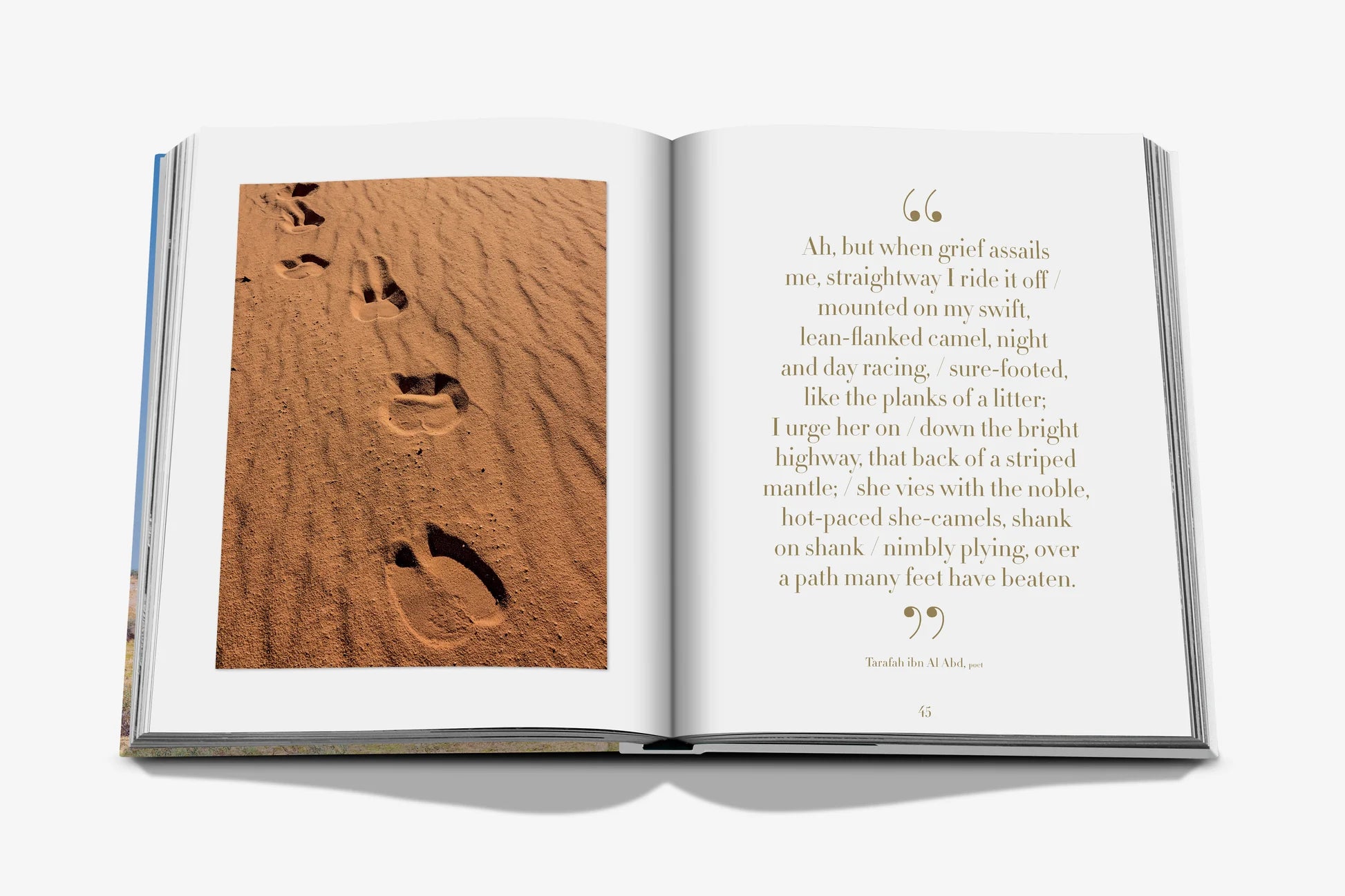 ASSOULINE Camels from Saudi Arabia (Classic)