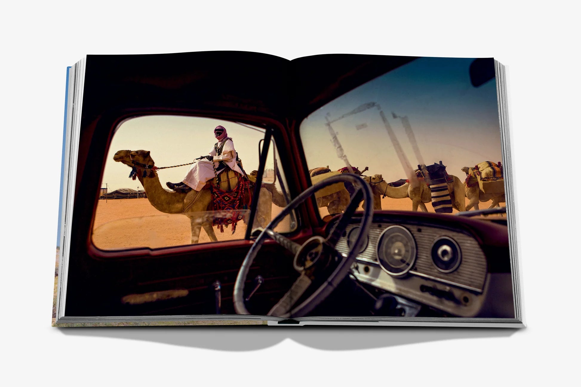 ASSOULINE Camels from Saudi Arabia (Classic)