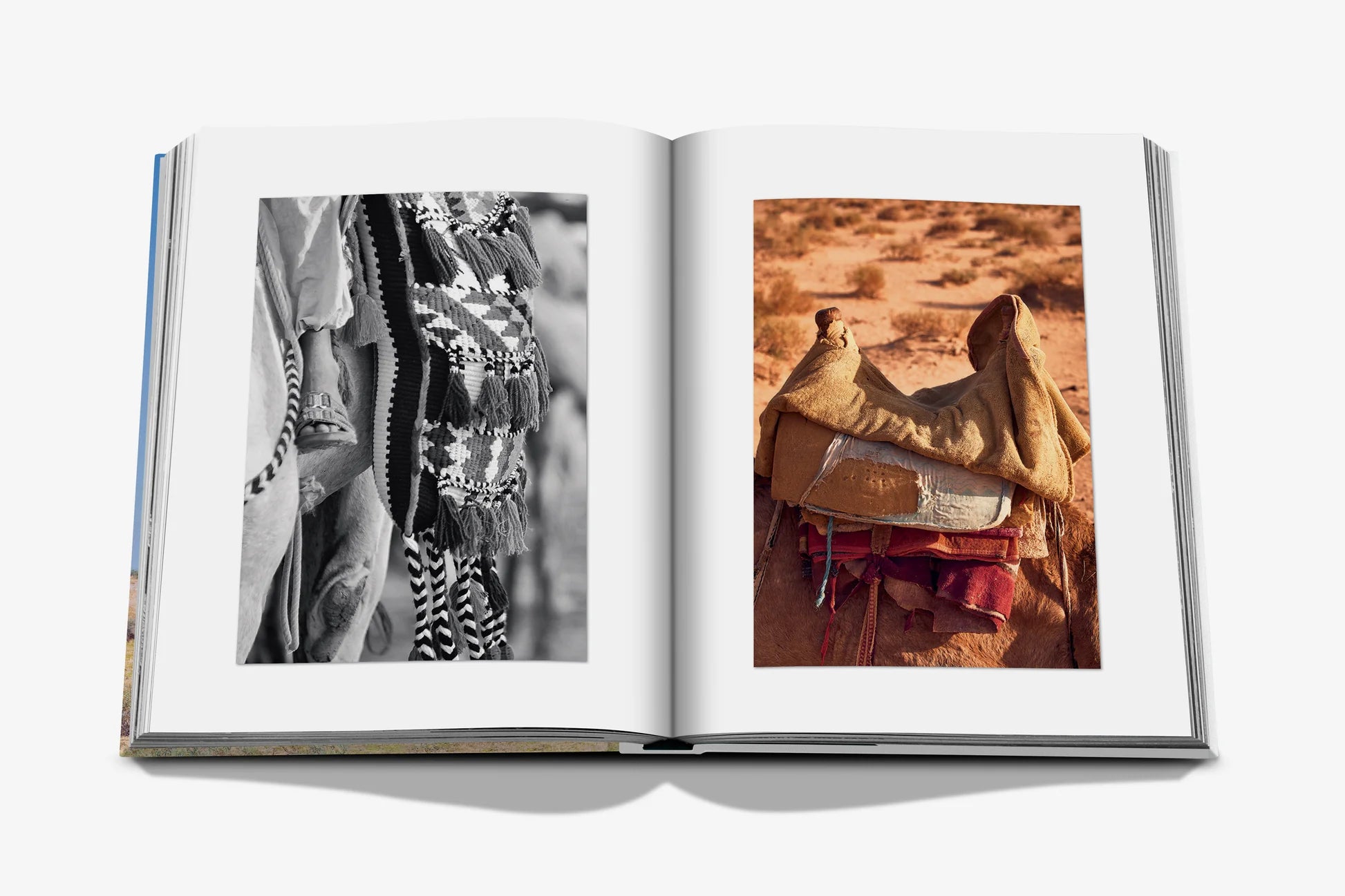 ASSOULINE Camels from Saudi Arabia (Classic)