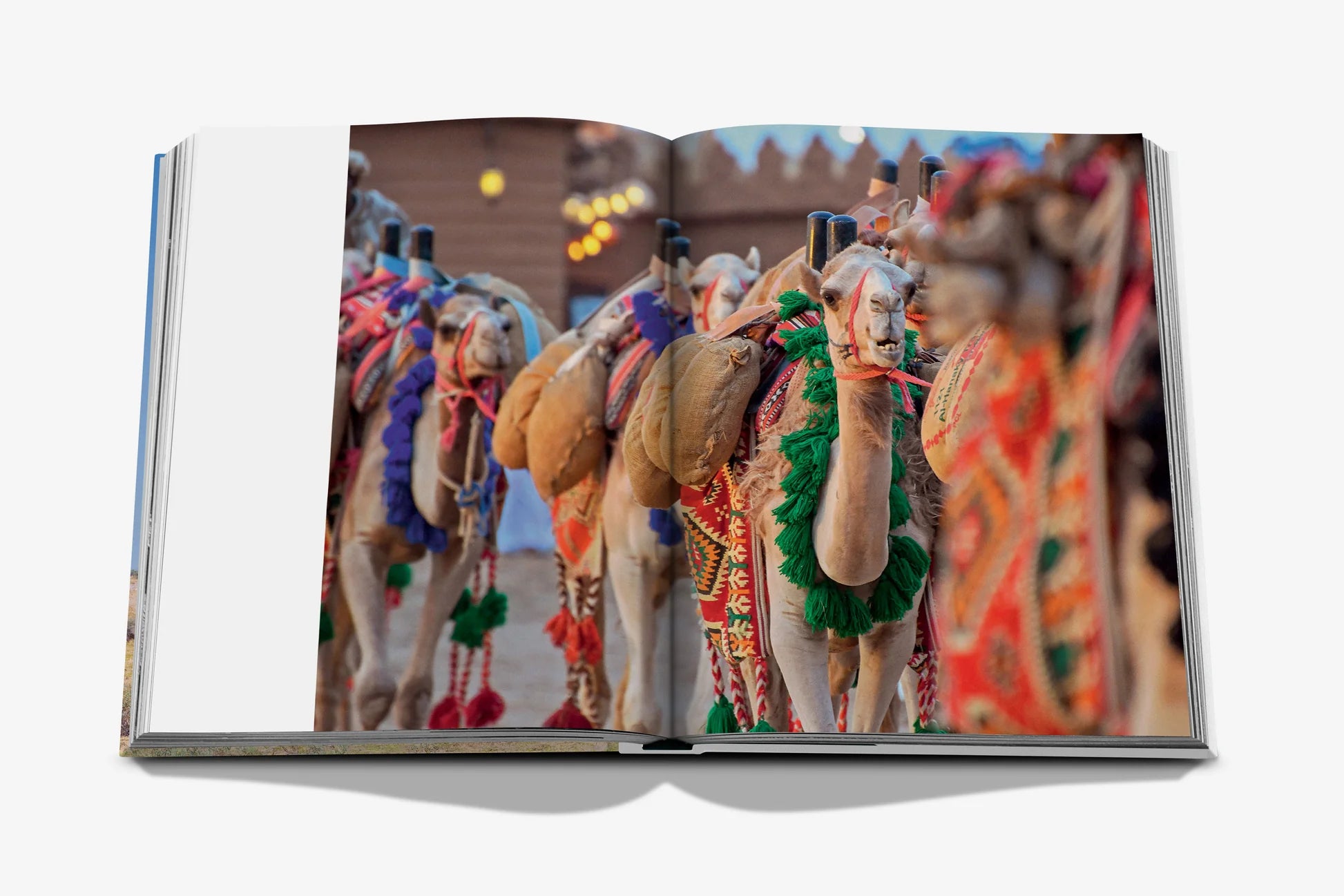 ASSOULINE Camels from Saudi Arabia (Classic)
