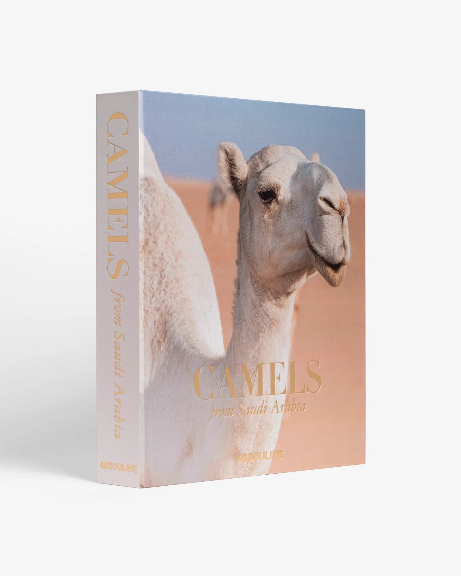 ASSOULINE Camels from Saudi Arabia