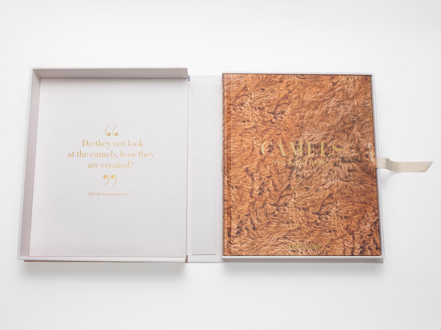 ASSOULINE Camels from Saudi Arabia