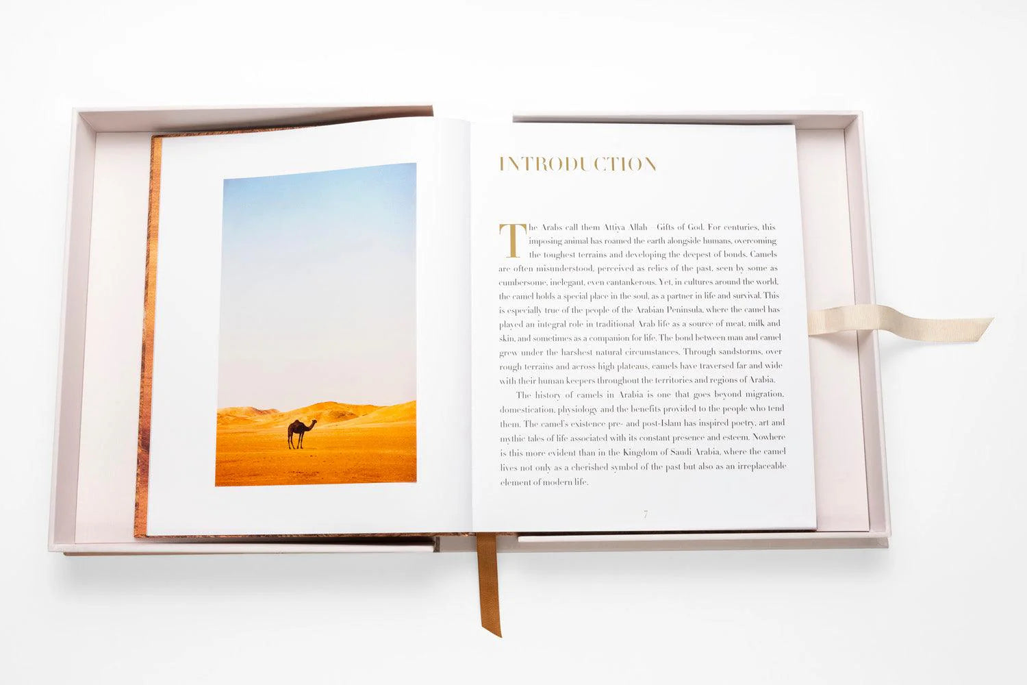 ASSOULINE Camels from Saudi Arabia