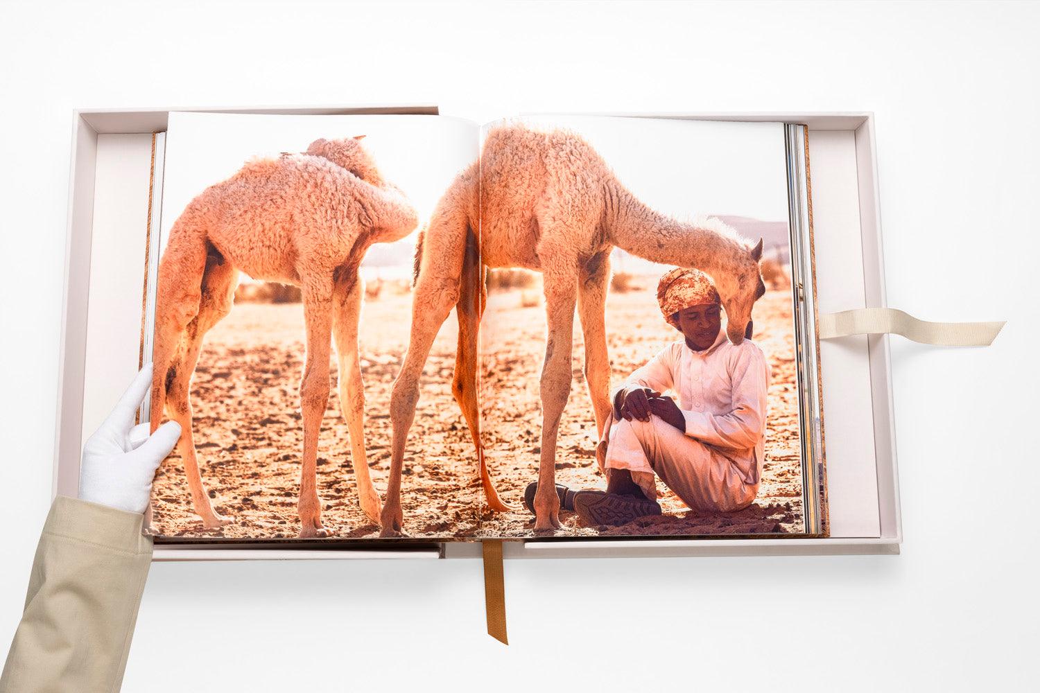 ASSOULINE Camels from Saudi Arabia