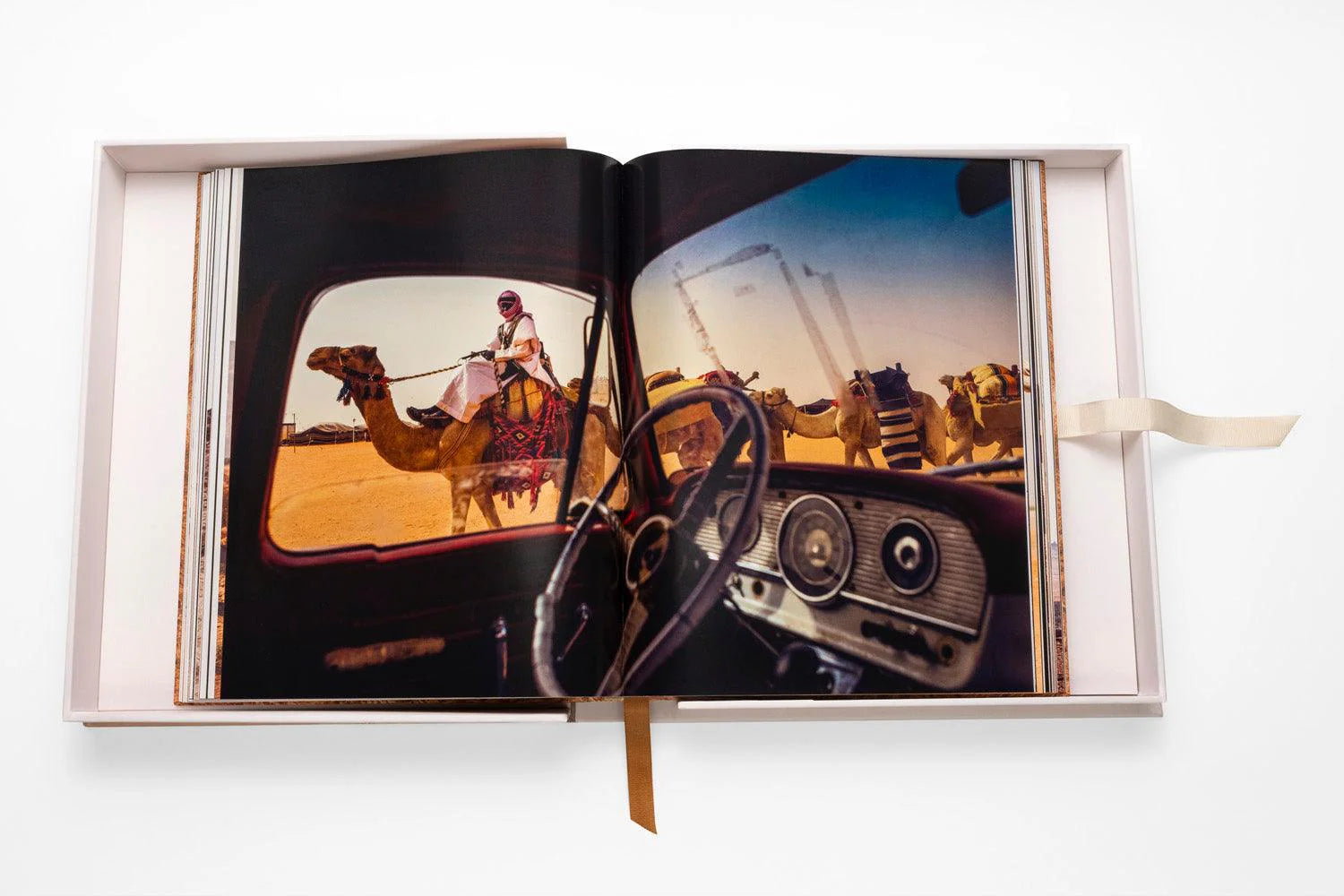 ASSOULINE Camels from Saudi Arabia
