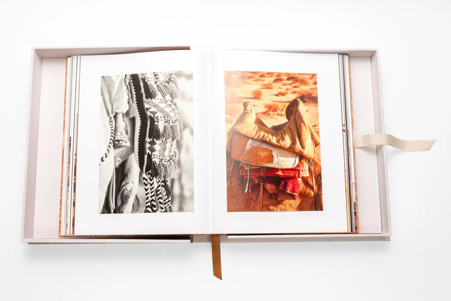 ASSOULINE Camels from Saudi Arabia