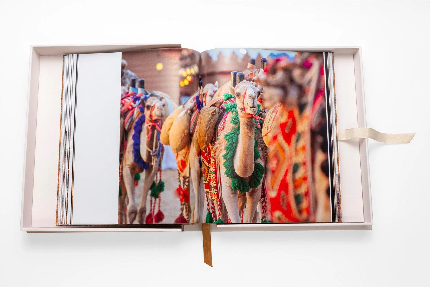 ASSOULINE Camels from Saudi Arabia