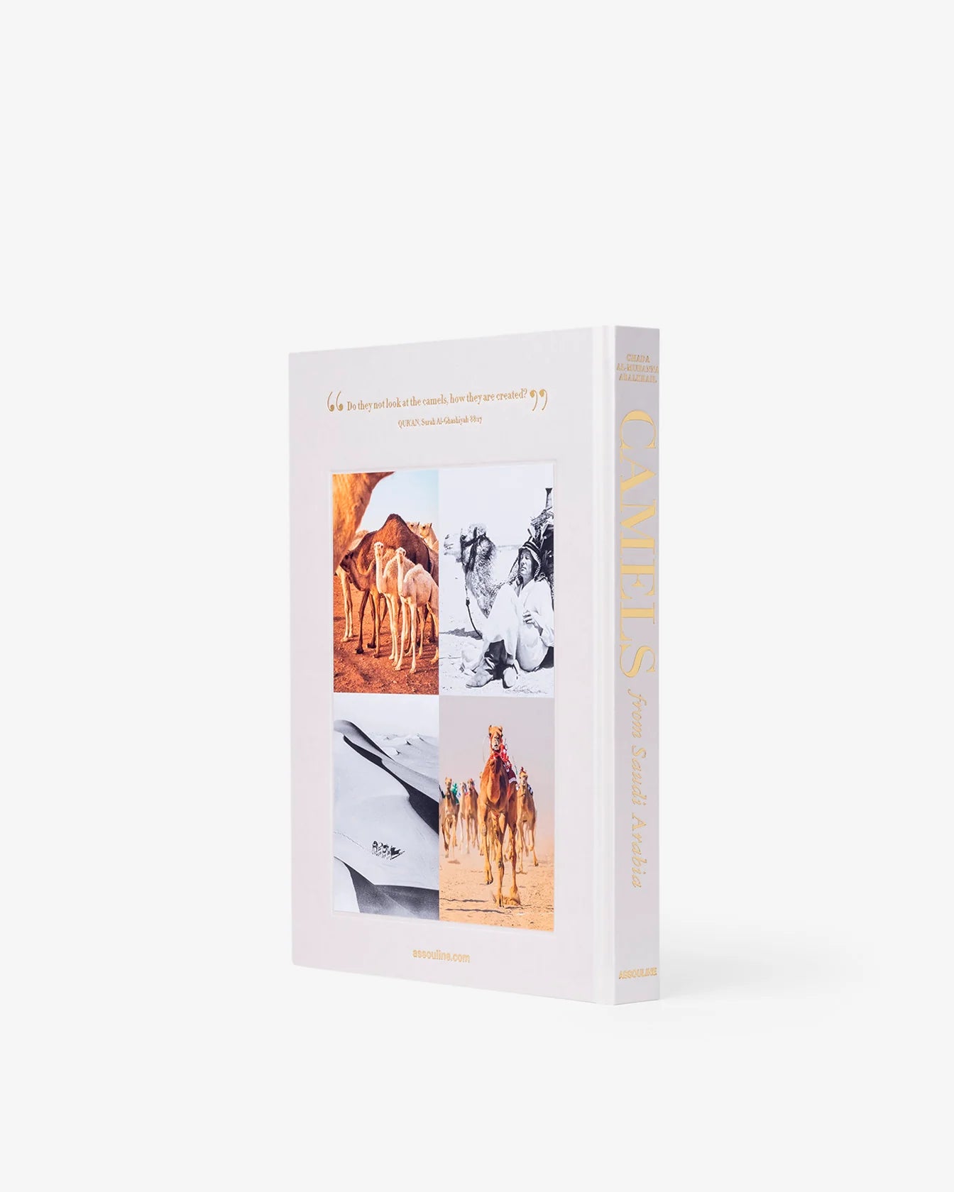 ASSOULINE Camels from Saudi Arabia (Classic)