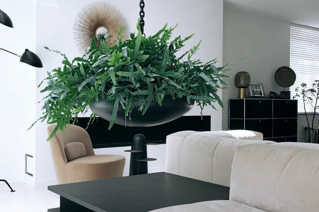 Linteloo Desire sofa
