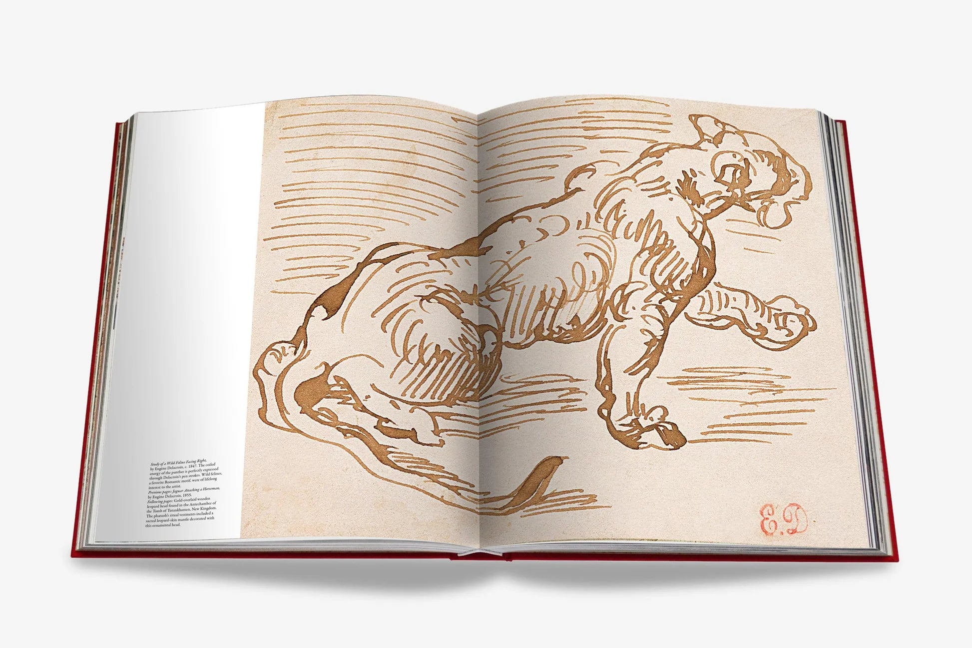 ASSOULINE Cartier Panthère