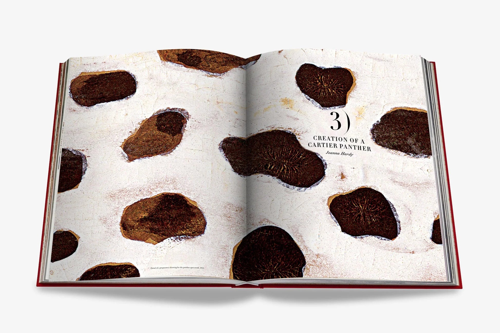 ASSOULINE Cartier Panthère