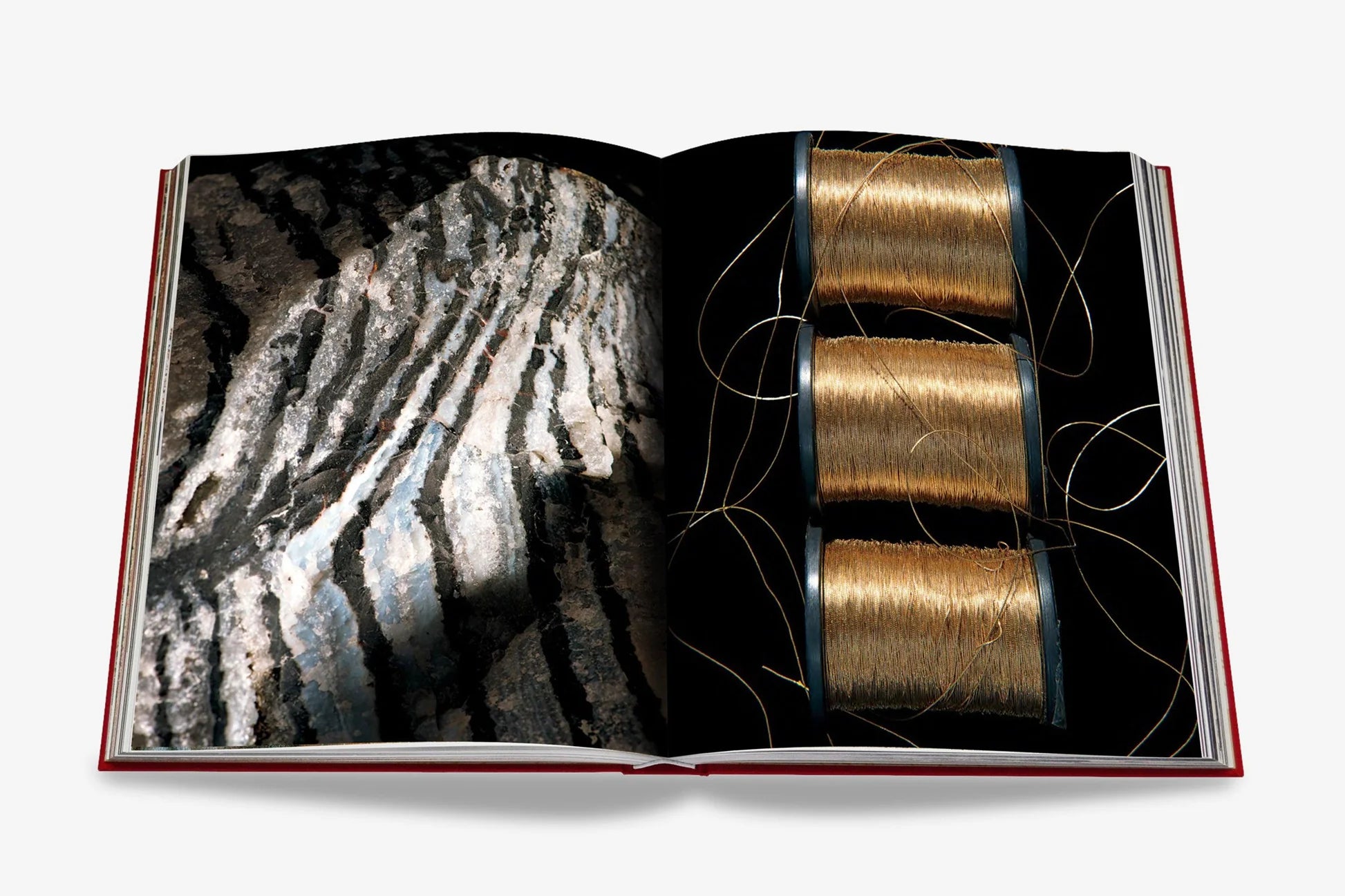 ASSOULINE Cartier Panthère