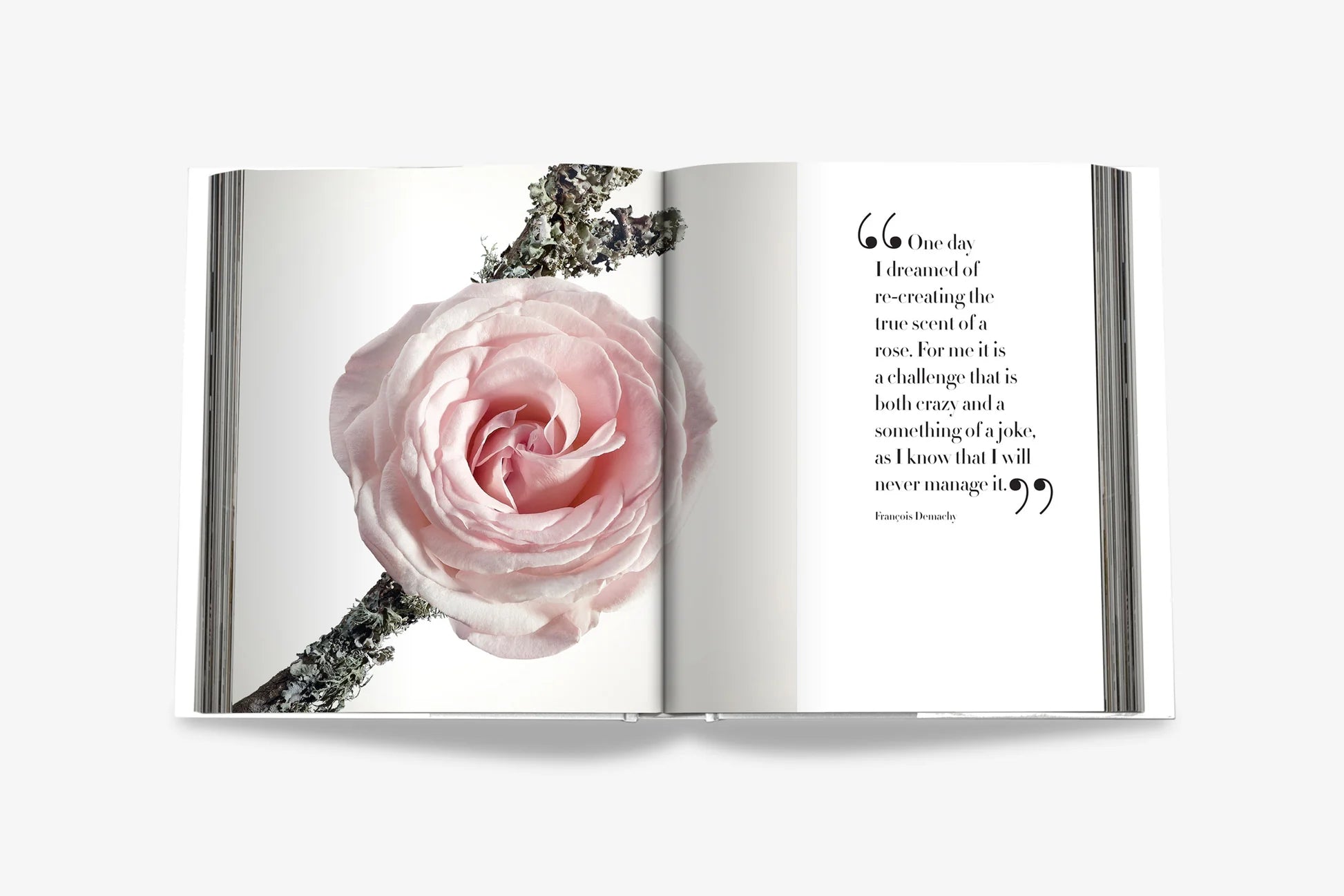 ASSOULINE La Collection Privee Christian Dior Parfum