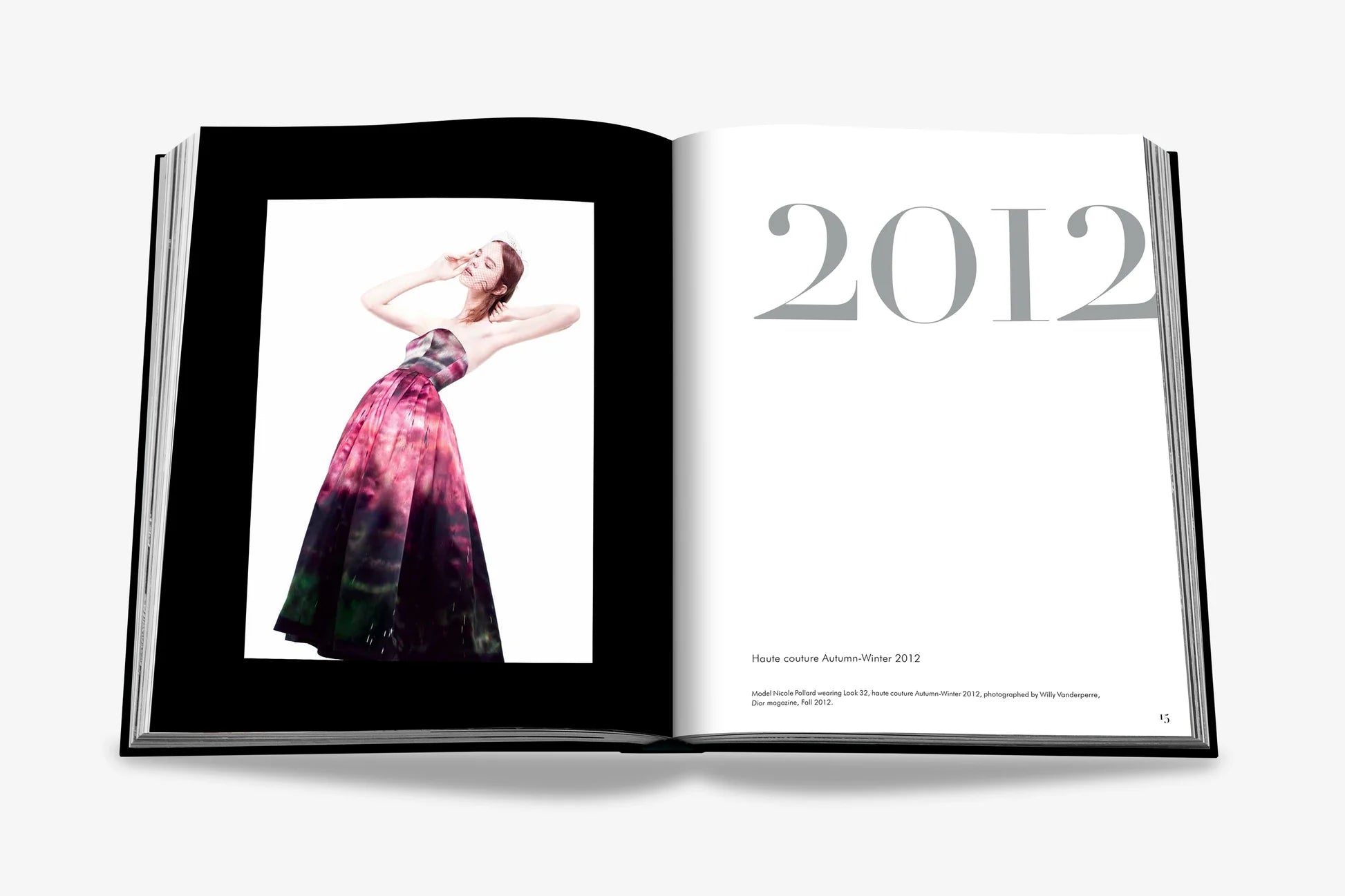 ASSOULINE Dior by Raf Simons