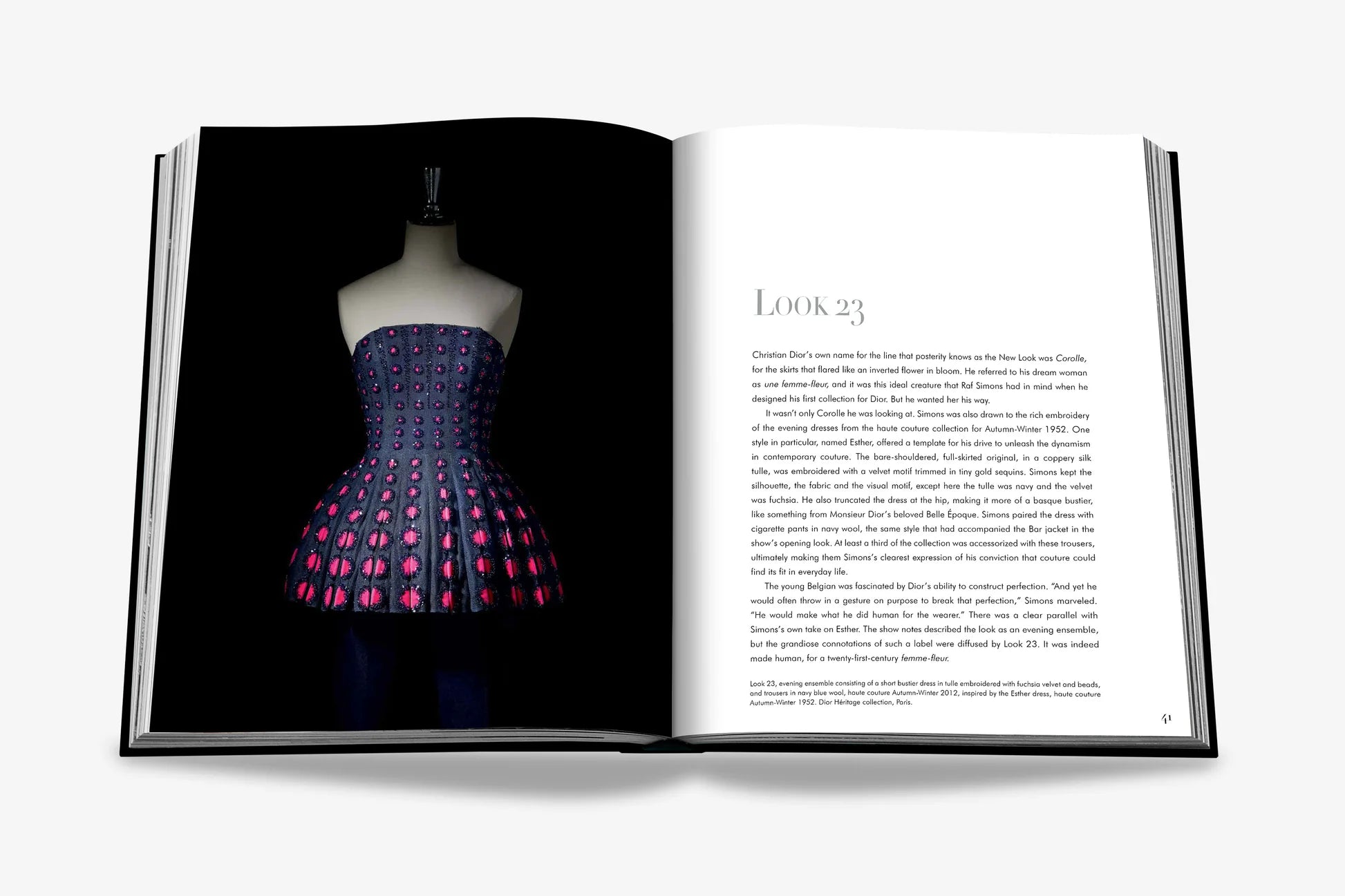 ASSOULINE Dior by Raf Simons