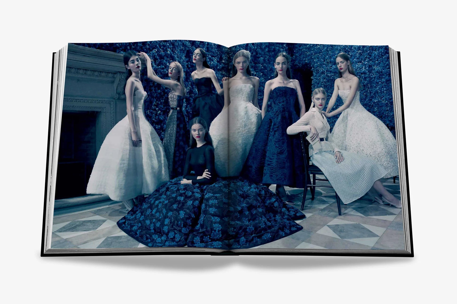 ASSOULINE Dior by Raf Simons