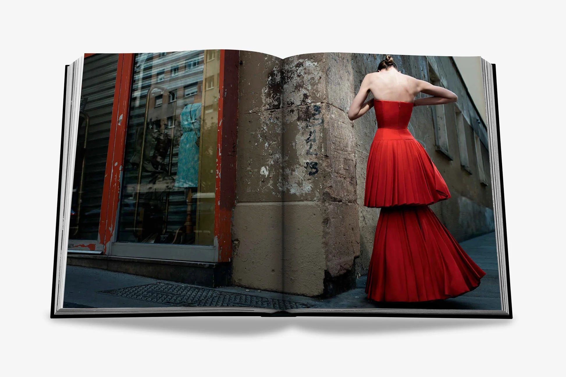 ASSOULINE Dior by Raf Simons