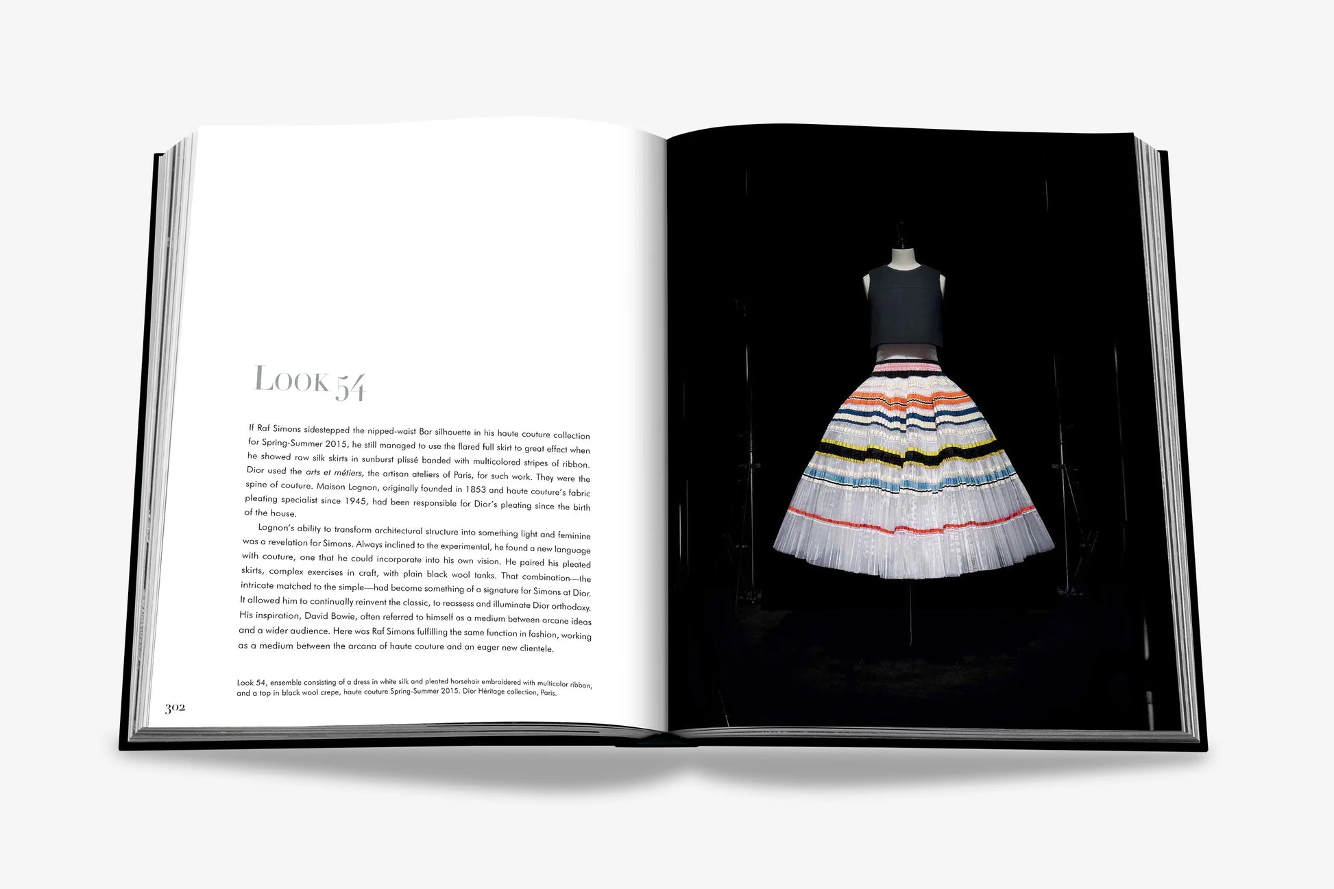 ASSOULINE Dior by Raf Simons