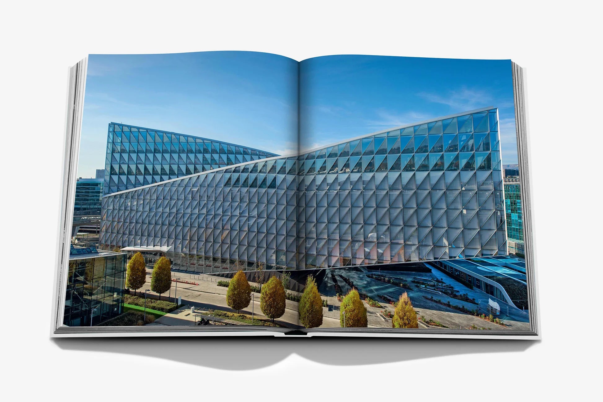 ASSOULINE Geneva: At the Heart of the World