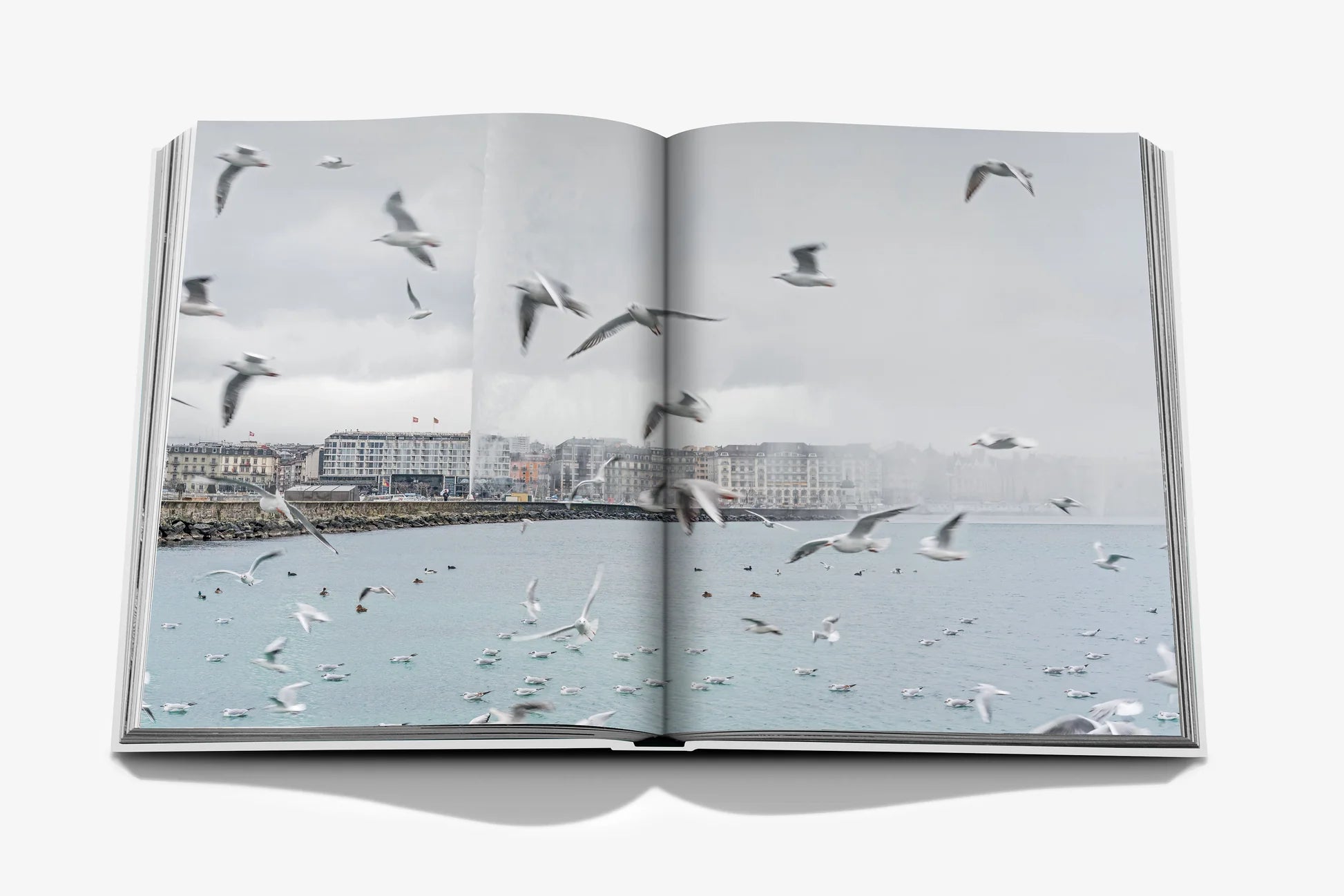 ASSOULINE Geneva: At the Heart of the World