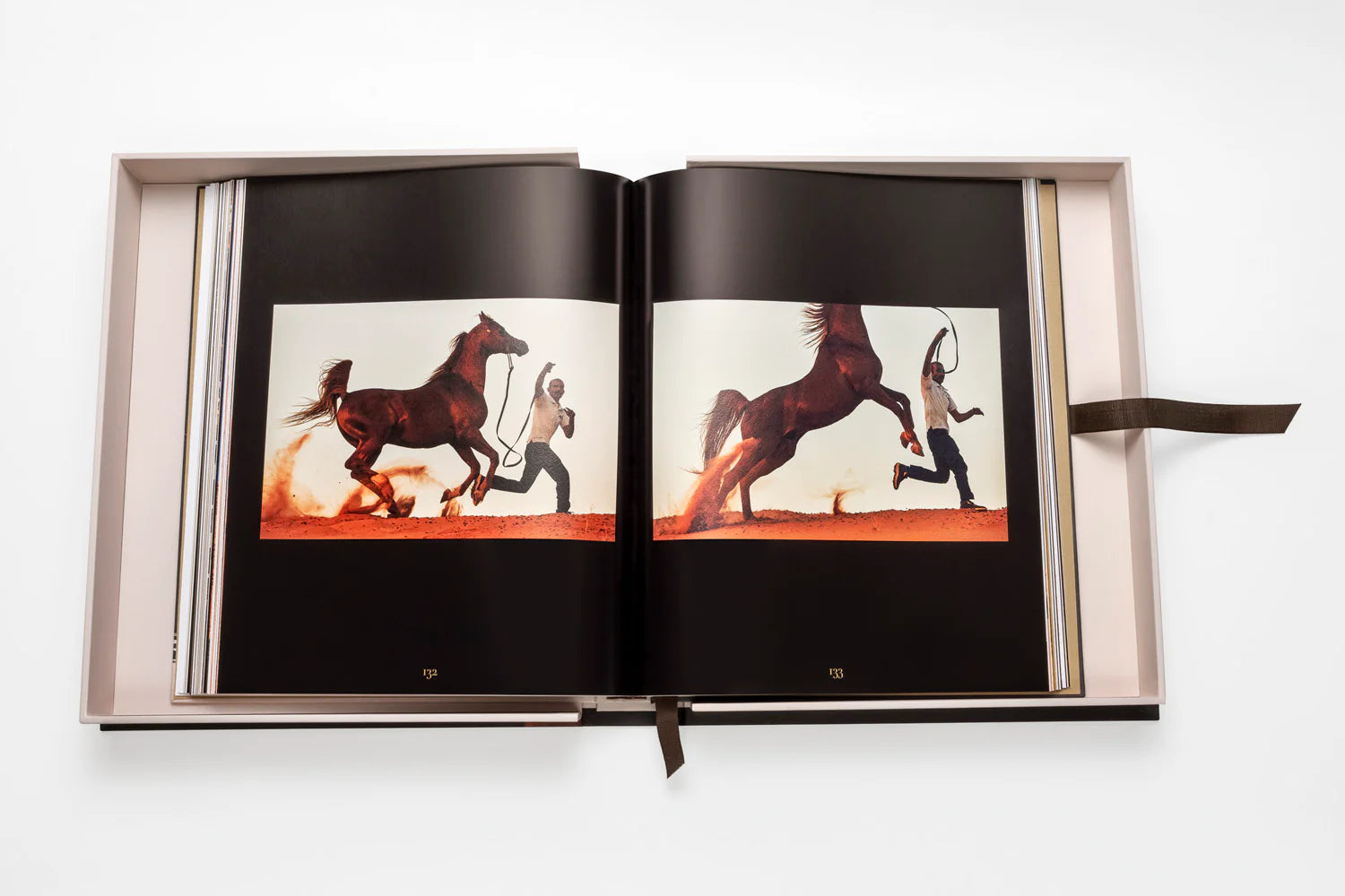 ASSOULINE Horses from Saudi Arabia