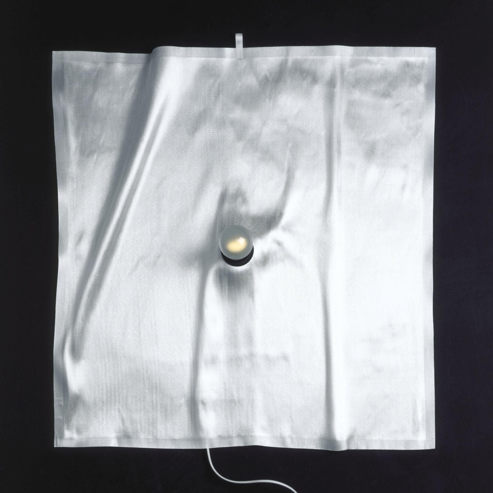 Ingo Maurer Delight Wall/Table Lamp