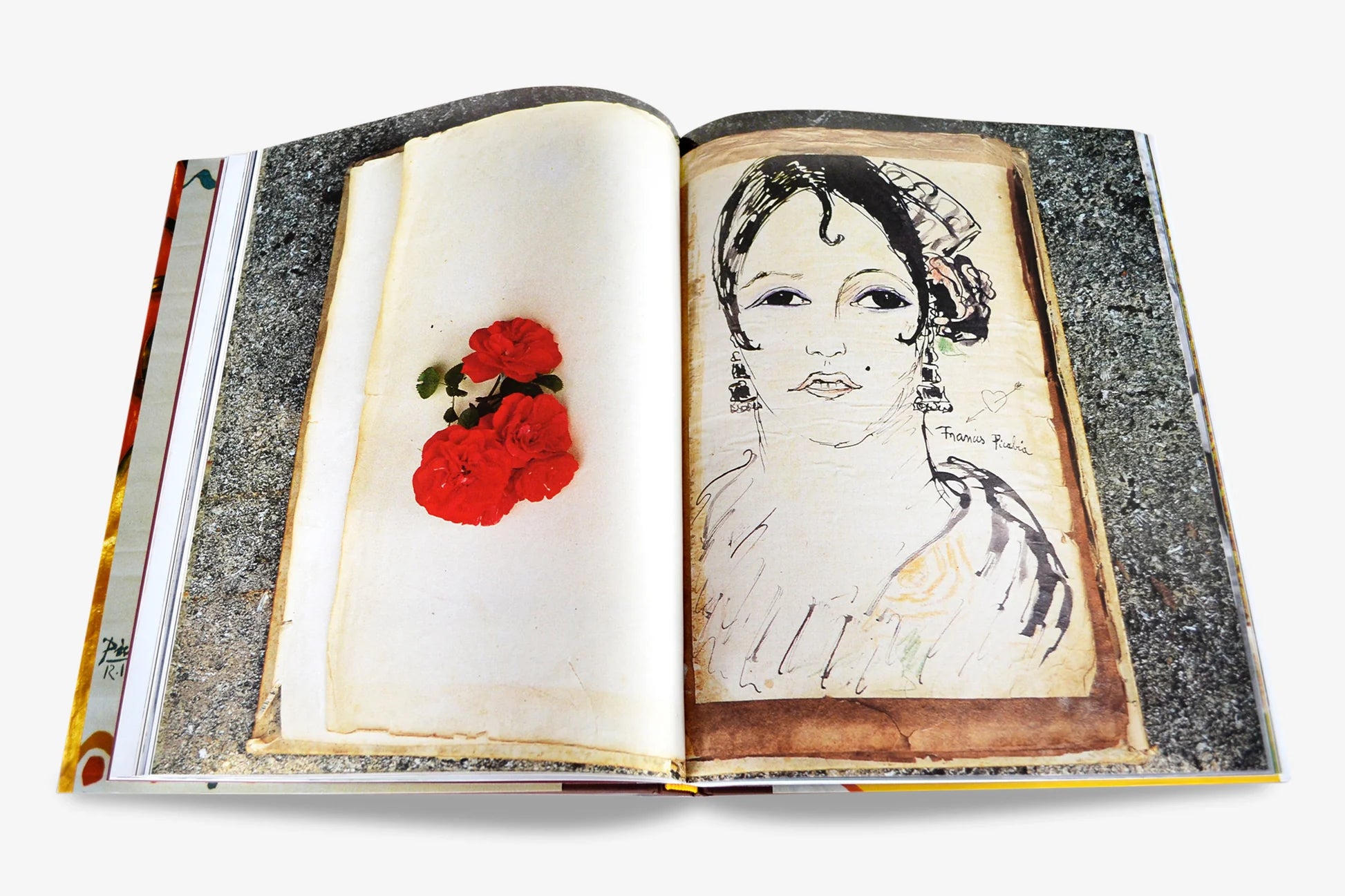 ASSOULINE The Colombe d'Or