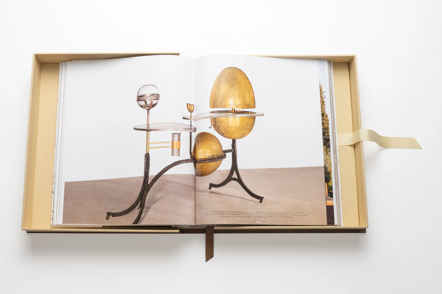 ASSOULINE Lalanne: En verden af poesi