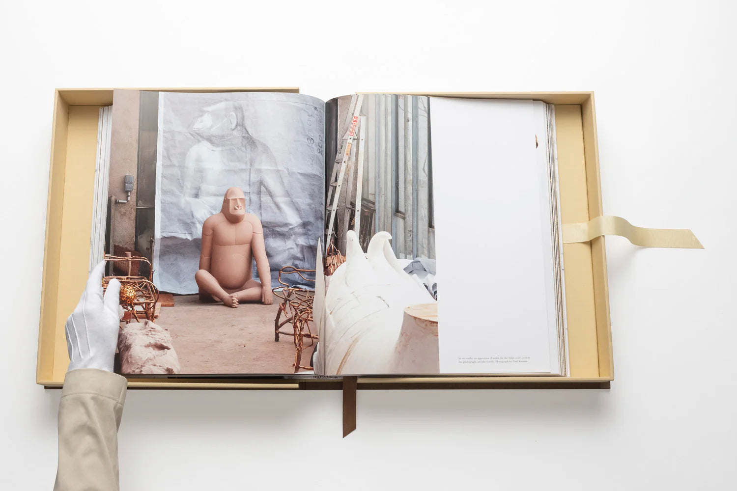 ASSOULINE Lalanne: En verden af poesi