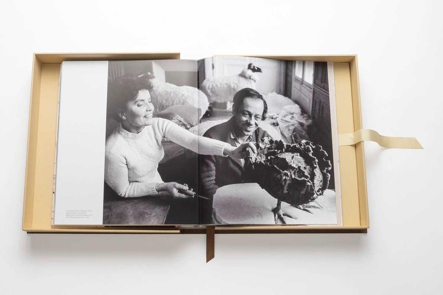 ASSOULINE Lalanne: En verden af poesi