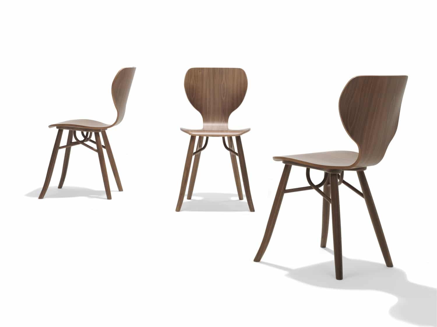 Linteloo Tulipani dining chair