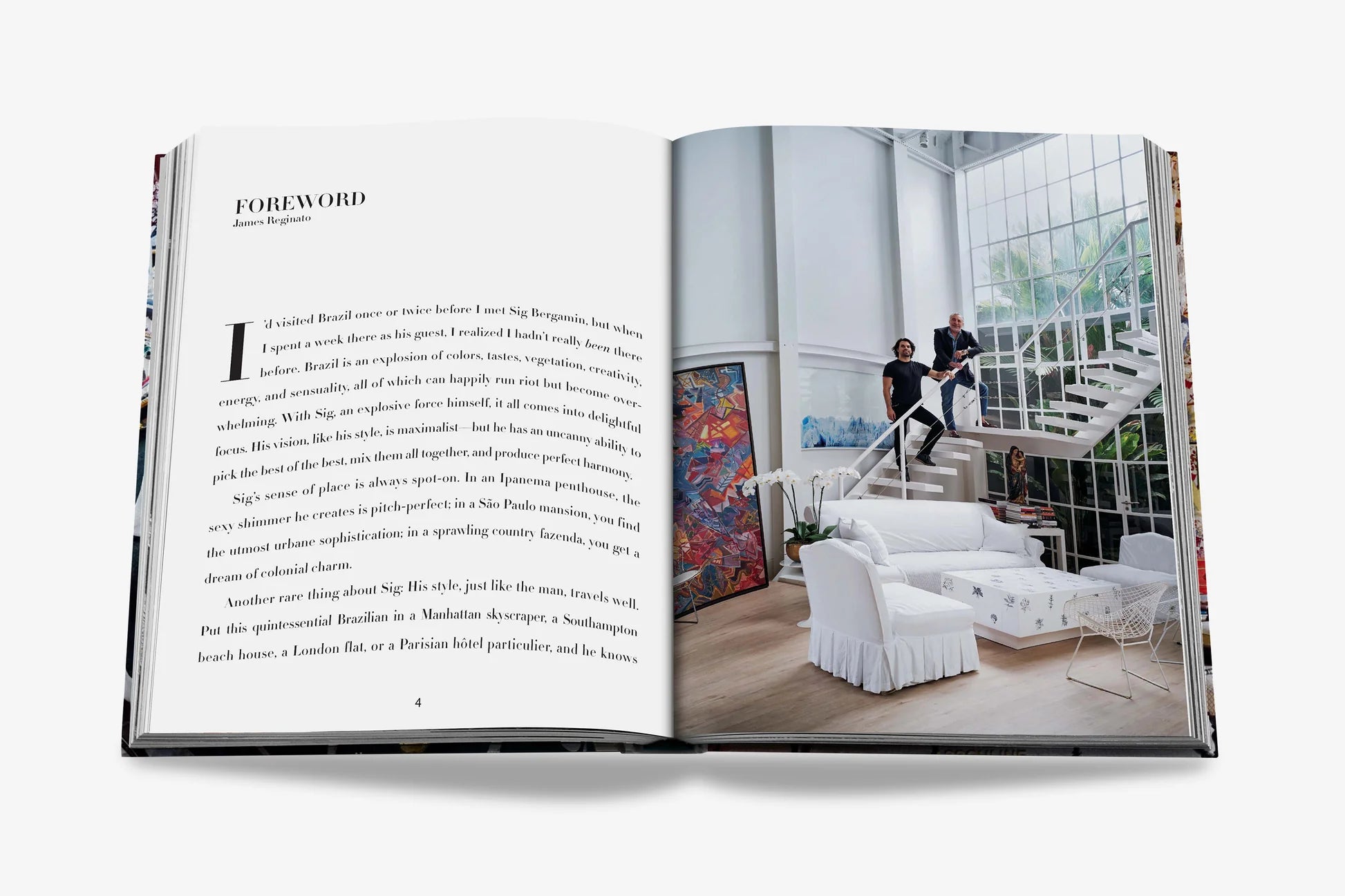 ASSOULINE Maximalism by Sig Bergamin