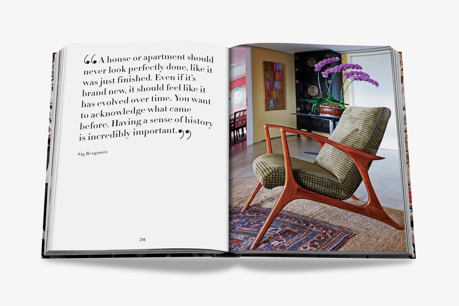 ASSOULINE Maximalism by Sig Bergamin