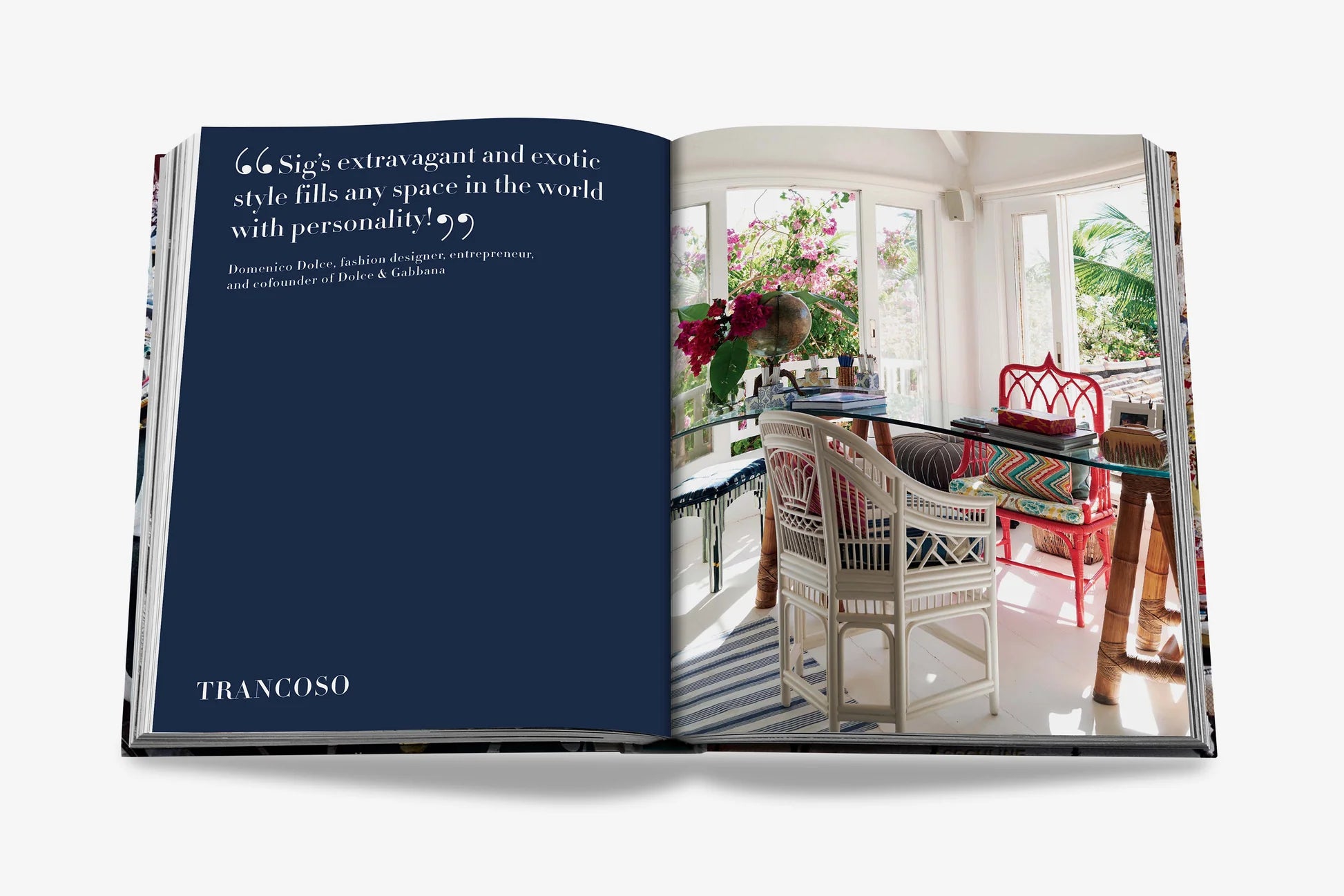 ASSOULINE Maximalism by Sig Bergamin