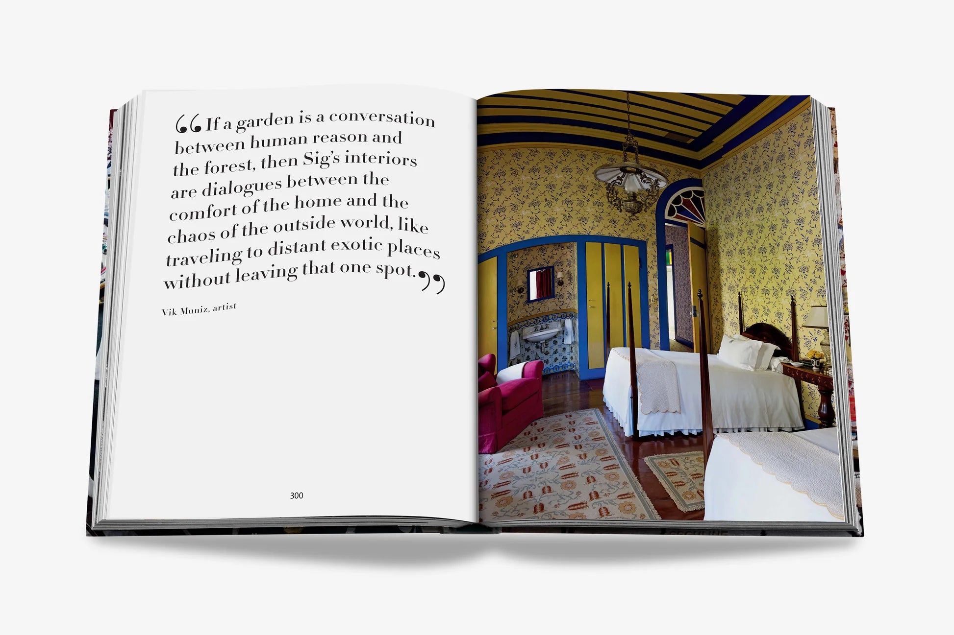 ASSOULINE Maximalism by Sig Bergamin